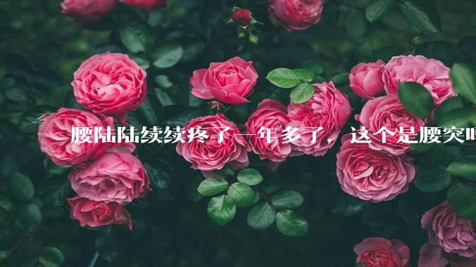 腰陆陆续续疼了一年多了，这个是腰突吗?